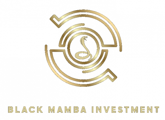 Logo_Blackmamba_Investment_Tranparent